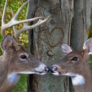 Meet your Poshers, Steve & Heidi